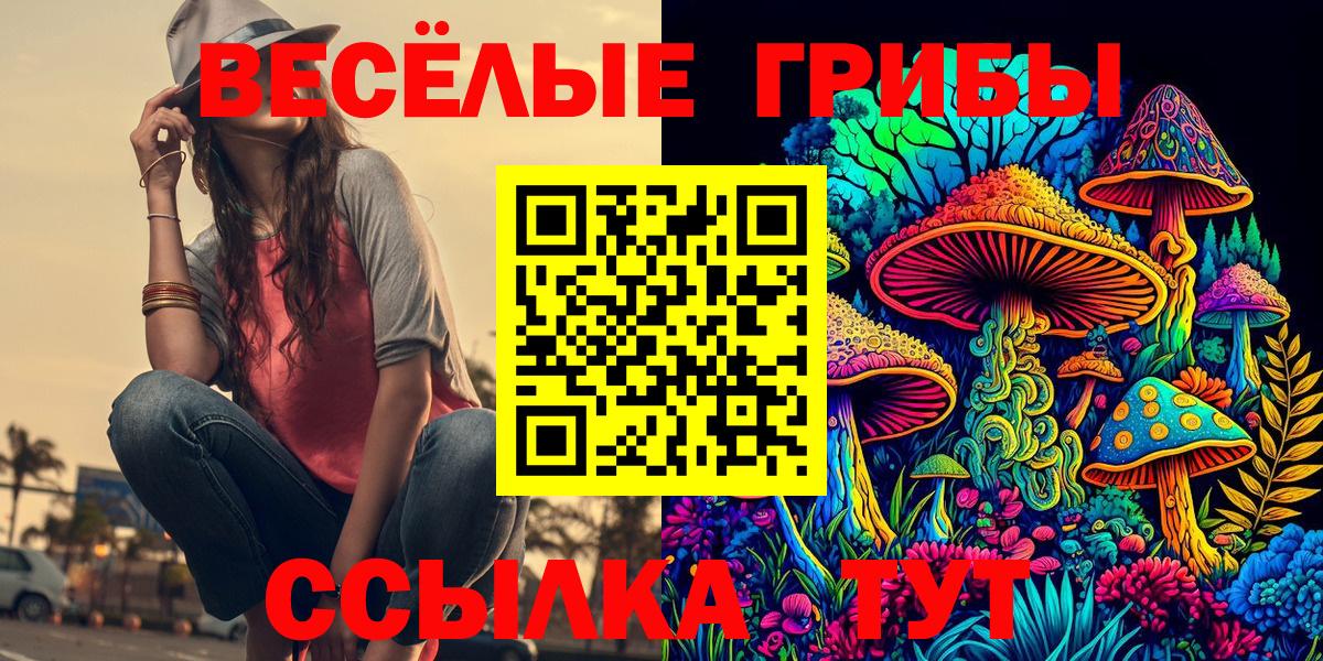 Псилоцибиновые грибы MAGIC MUSHROOMS  Вход с VPN  цены наркотик  Новоалександровск 
