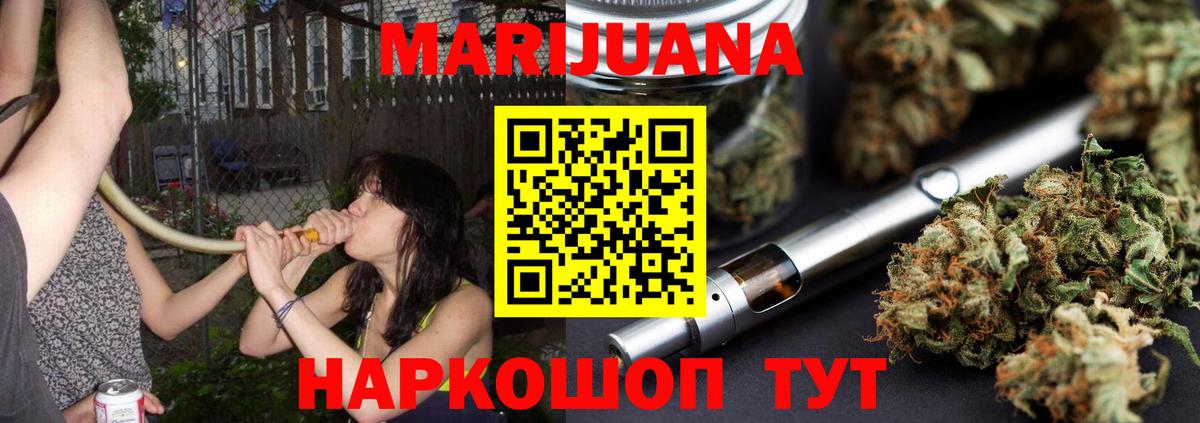 Марихуана White Widow  Вход с VPN  Новоалександровск  Конопля ГИДРОПОН  Шишки марихуана MAZAR 